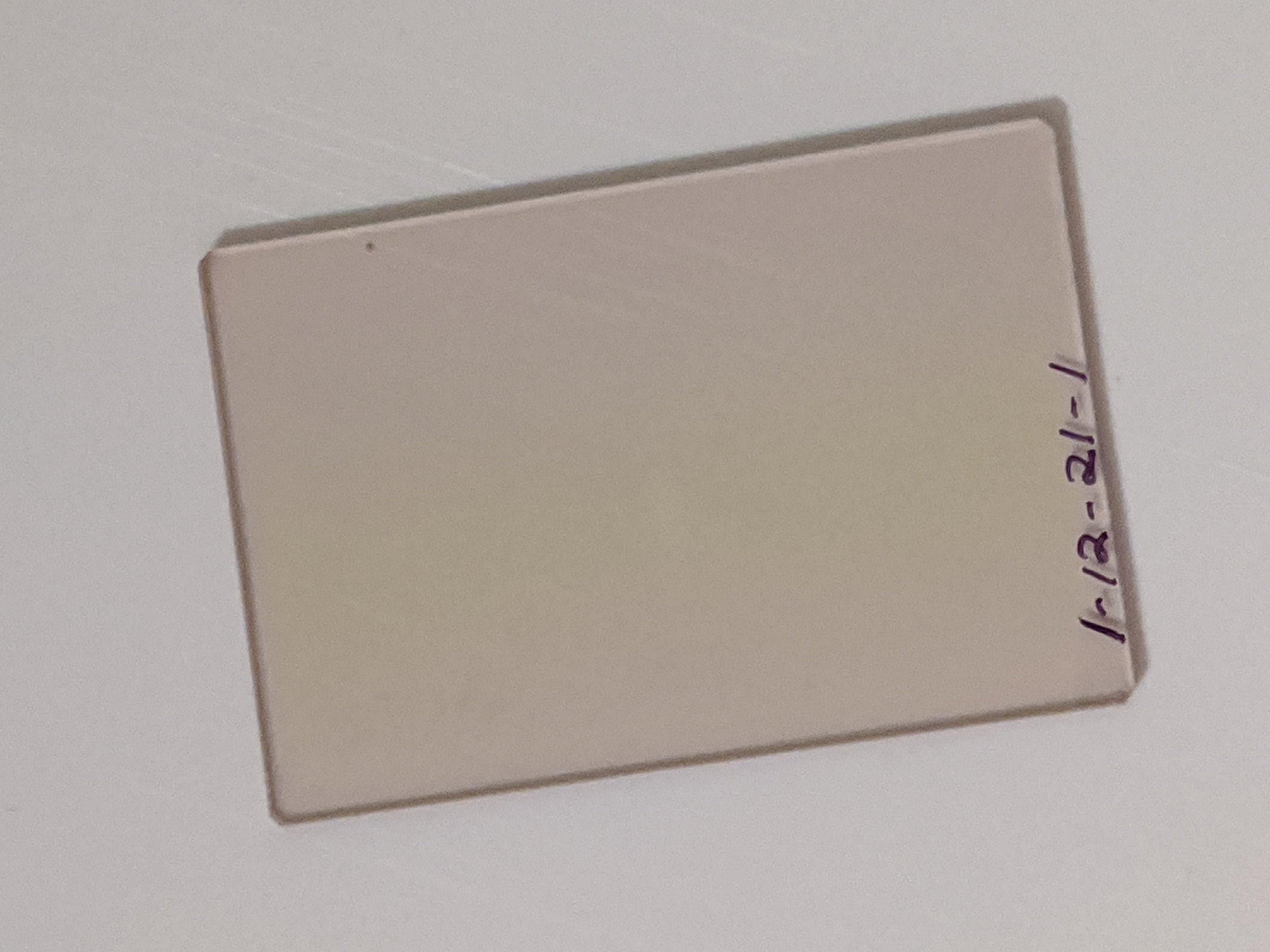 Palindrome Hologram.jpg